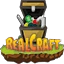 Server favicon