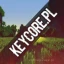 Server favicon