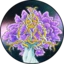 Server favicon