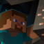 Server favicon