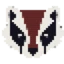 Server favicon