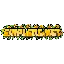 Server favicon