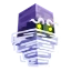 Server favicon