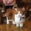 Server favicon