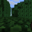 Server Icon