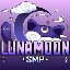 Server favicon