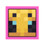 Server Icon