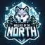 Server favicon