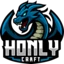 Server favicon