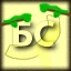 Server favicon
