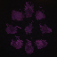 Server Icon