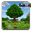 Server Icon