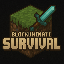 Server Icon