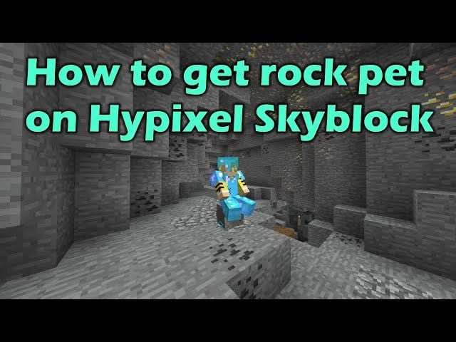 Rock Pet - Hypixel SkyBlock Wiki