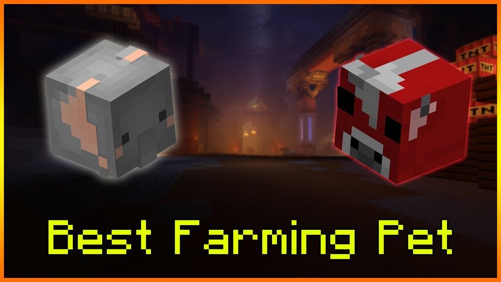 Farming Pets in Hypixel Skyblock Minecraft Everything to know