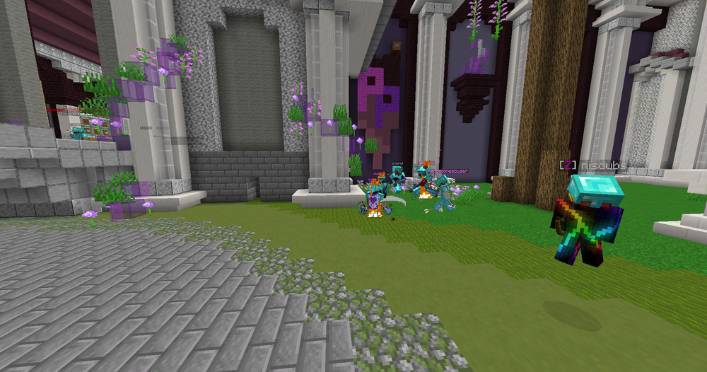 What is the IP for the Hypixel Minecraft Server?