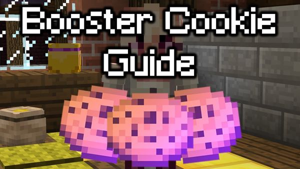 What is the Booster Cookie in Hypixel Skyblock Minecraft Server?